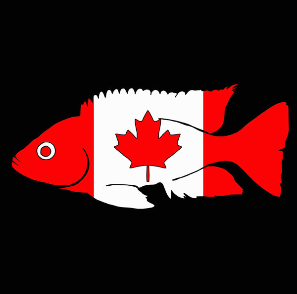 Aquarists Across Canada