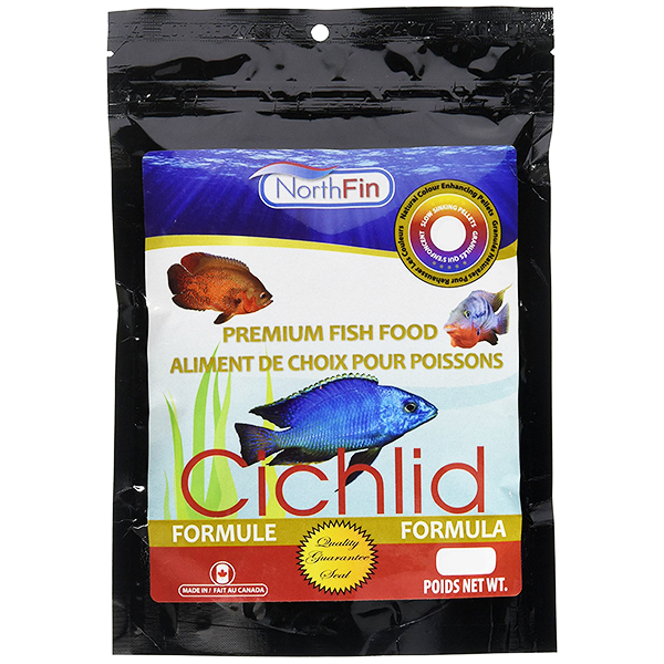 NORTHFIN CICHLID - Aquarists Across Canada