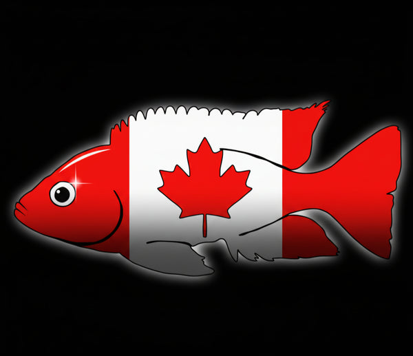 Aquarists Across Canada