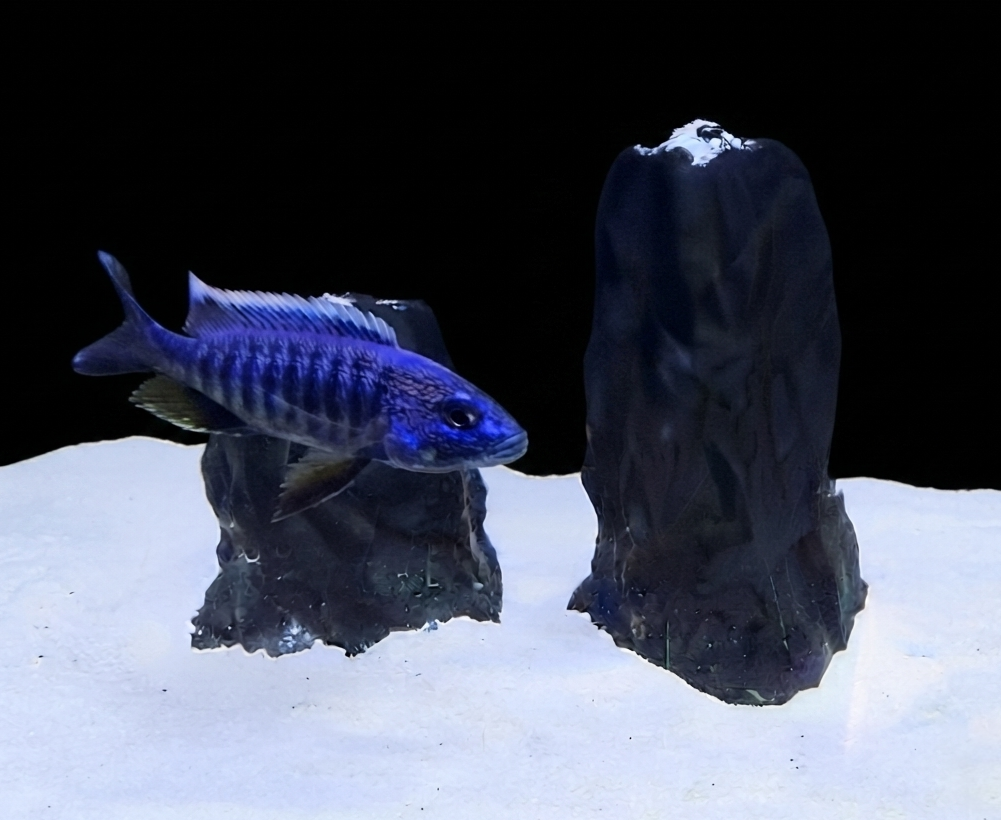Lightweight tall sinking rocks for aquarium