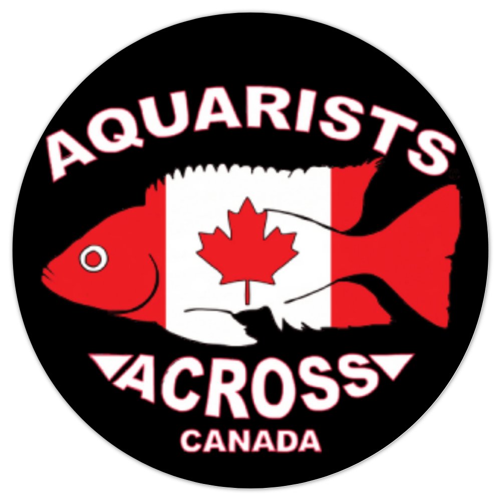 Transaqua Sticker Tank Sticker! – Aquarists Across Canada